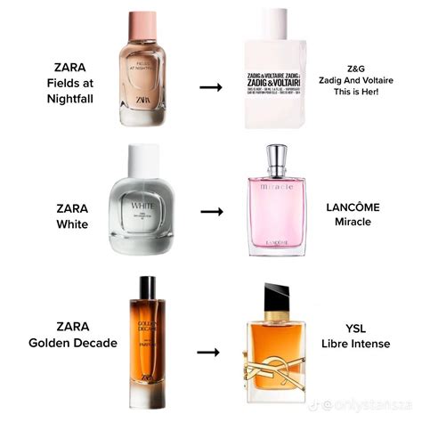 nobody knows zara perfume dupe|best dupe for zara perfume.